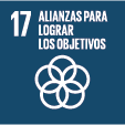 alianzas para lograr los objetivos