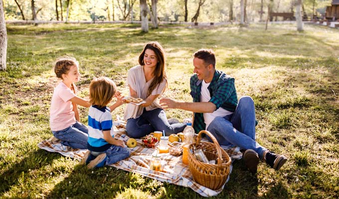 Picnic en el campo